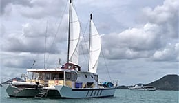 Golden Dragon small-1
