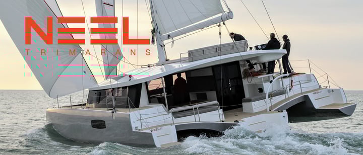 NEEL webinar header